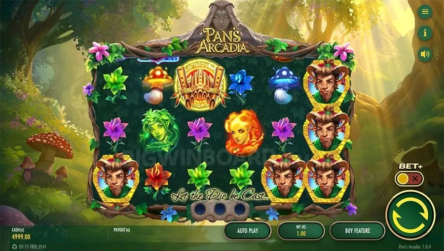 Live Casino Experience